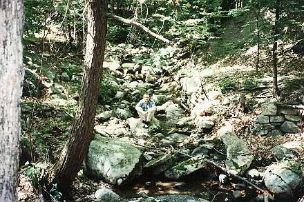 bridge