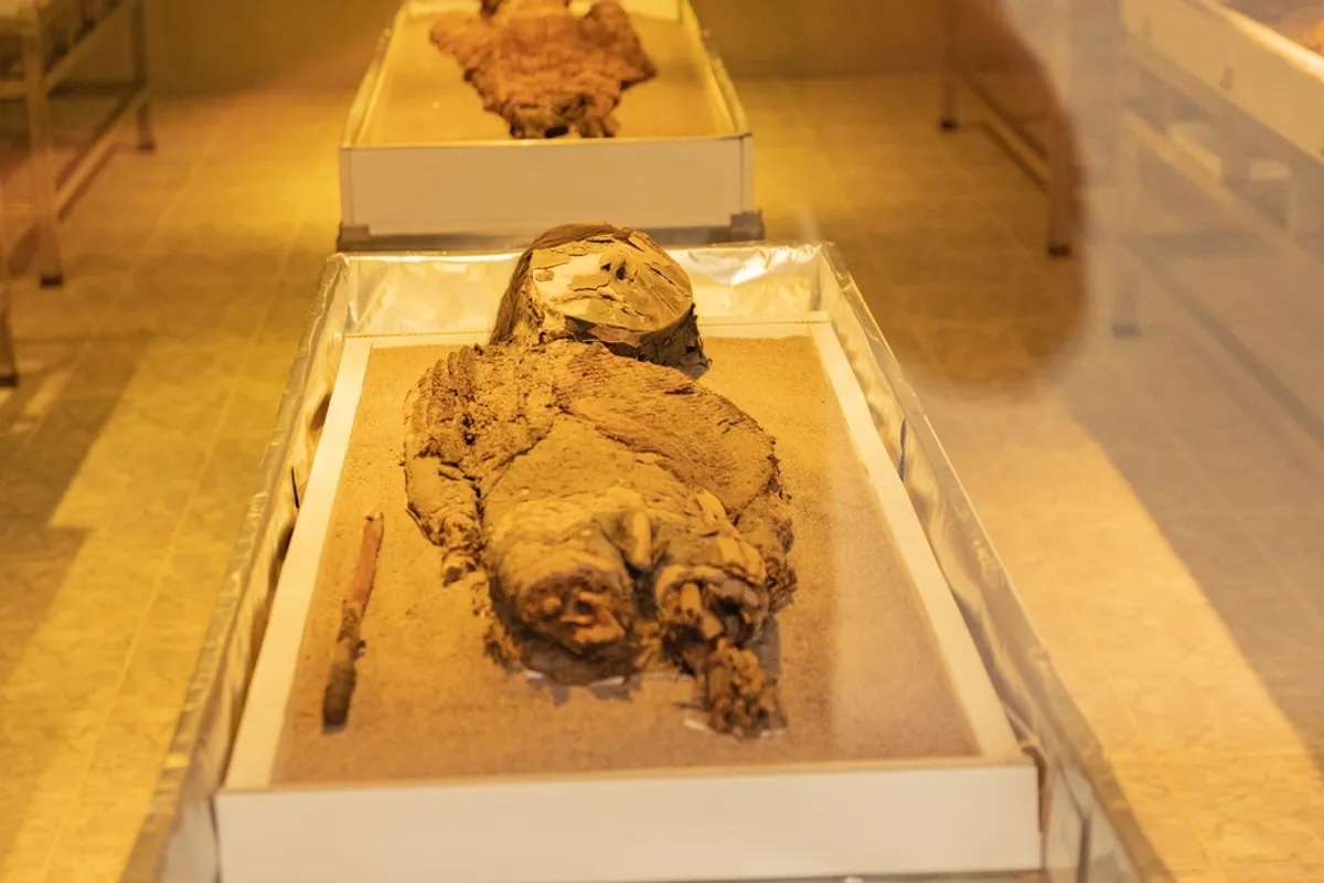 A 500-Year-Old Inca Mummy in Peru Now Has a Face - The New York Times